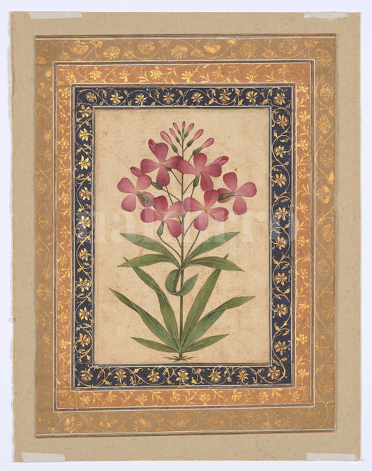 Mughal Floral Motifs