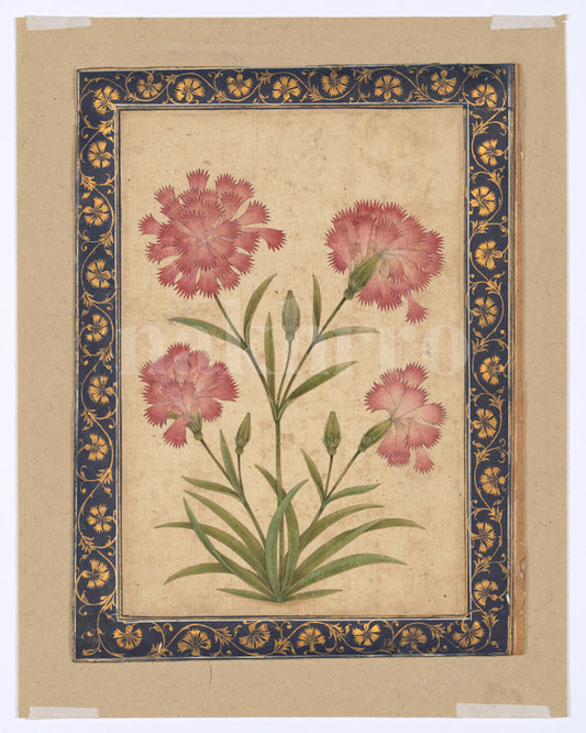 Mughal Floral