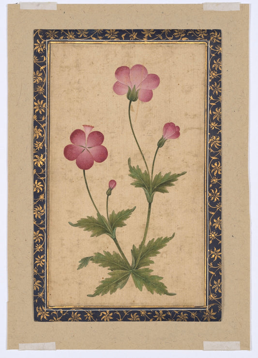 Mughal Pink Floral