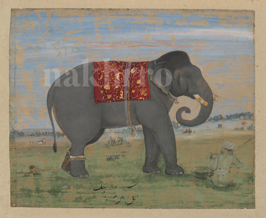 The Royal Elephant (Shan-e-Haathi)