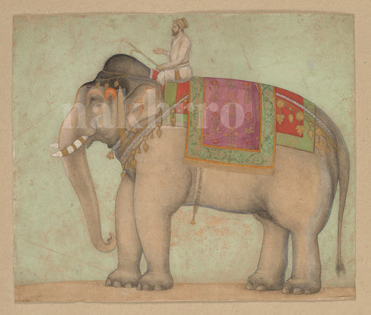 The Royal Elephant Ride