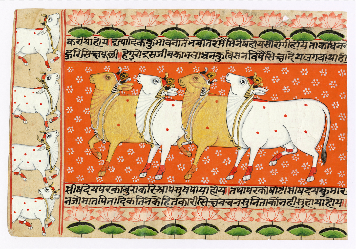 Sanskrit Ancient Text Kamdhenu Orange Pichwai