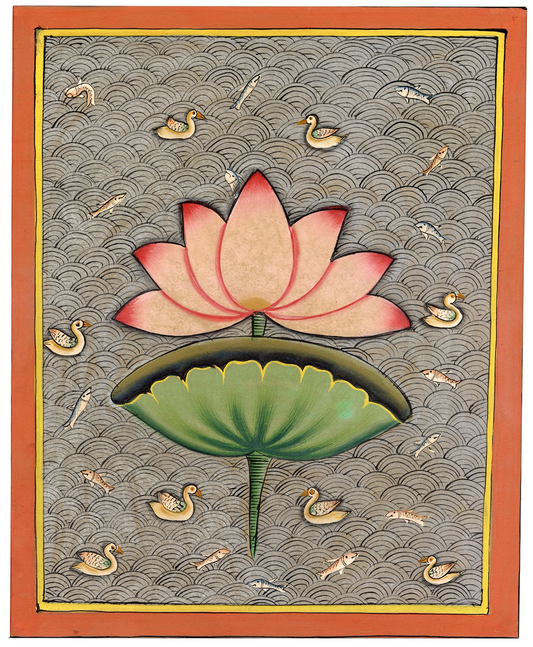 Lotus Of Pichwai
