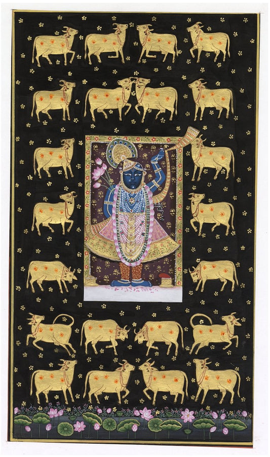 Black Cows of Pichwai around Shrinath Ji - Nakhrro